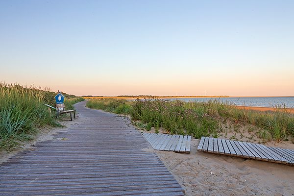 Loopdeelenweg durch die Borkum Natur